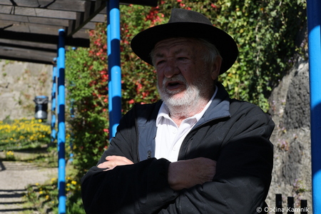 Rez kamniške trte, ki je potomka najstarejše vinske trte (17)